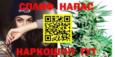прущие грибы Гусь-Хрустальный