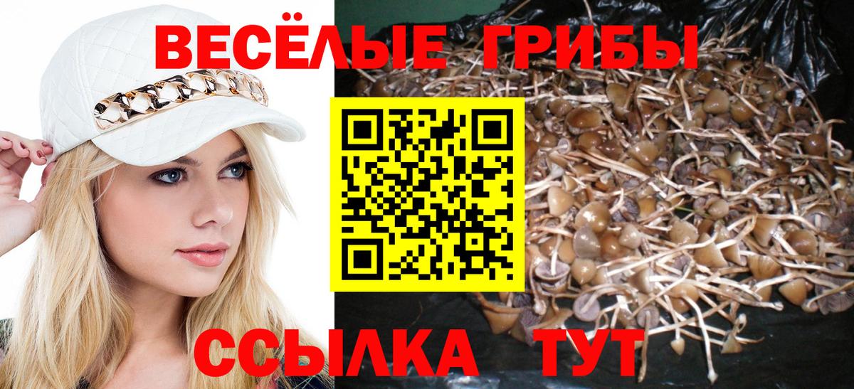 Воркута  Галлюциногенные грибы мицелий  Вход с VPN 