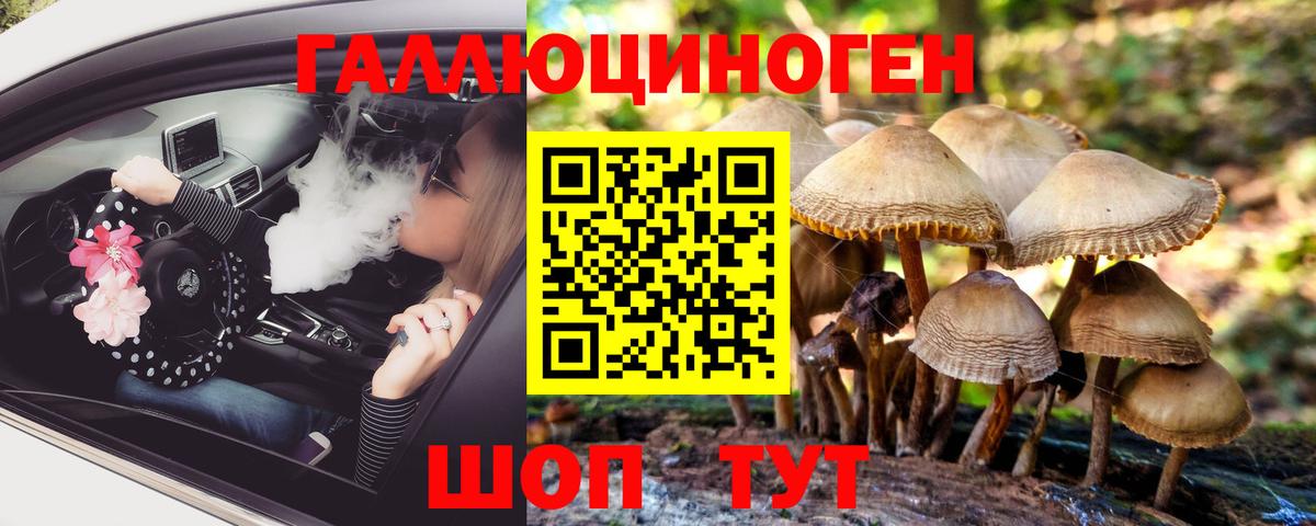 Галлюциногенные грибы MAGIC MUSHROOMS Воркута
